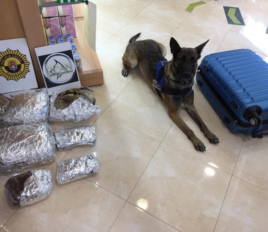 Alacant incauta 21 quilos de haixix durant el registre a un jove que viajaba en bus