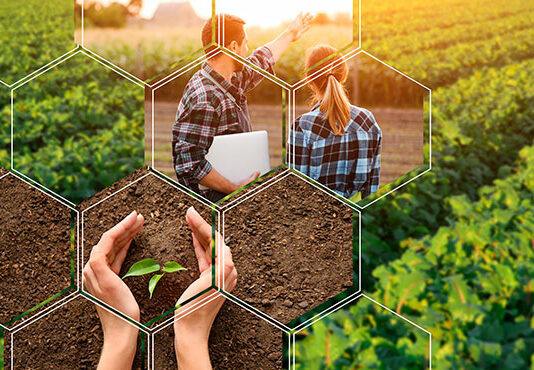 Trabajo en Lleida: Encuentra tu Espacio Profesional en una Ciudad con Futuro banner agrofruit 3 lleida