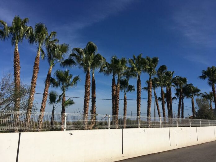 poda castellon