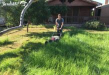 de jardines castellon mantenimiento y limpieza