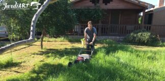 de jardines castellon mantenimiento y limpieza