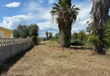 de parcelas de calidad en Castellon limpieza