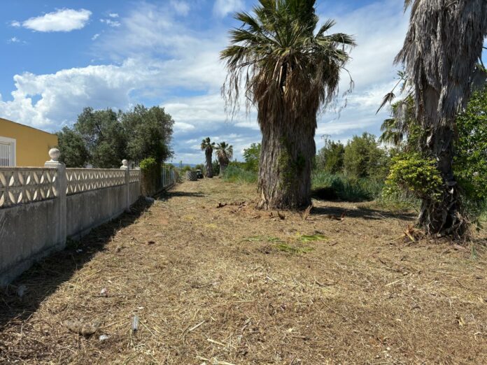 de parcelas de calidad en Castellon limpieza