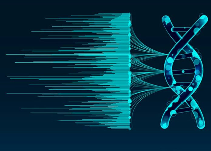 gcgenomics a medida soluciones