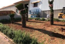 jardines en castellon disenar