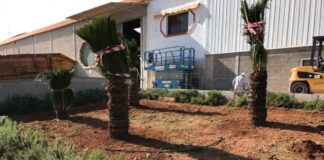 jardines en castellon disenar