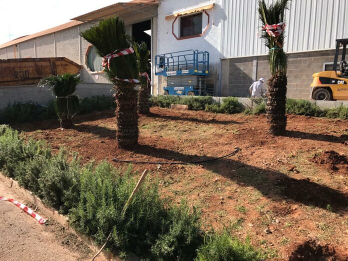 jardines en castellon disenar