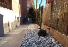 plantacion y abonado