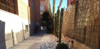 plantacion y abonado