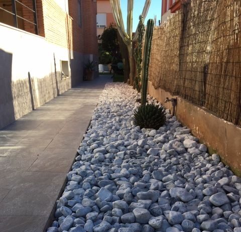 plantacion y abonado