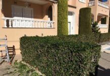 servicios de mantenimiento y limpieza de jardines