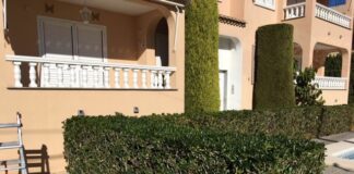 servicios de mantenimiento y limpieza de jardines