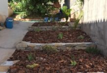 y abonado Castellon jardiart plantacion