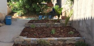 y abonado Castellon jardiart plantacion