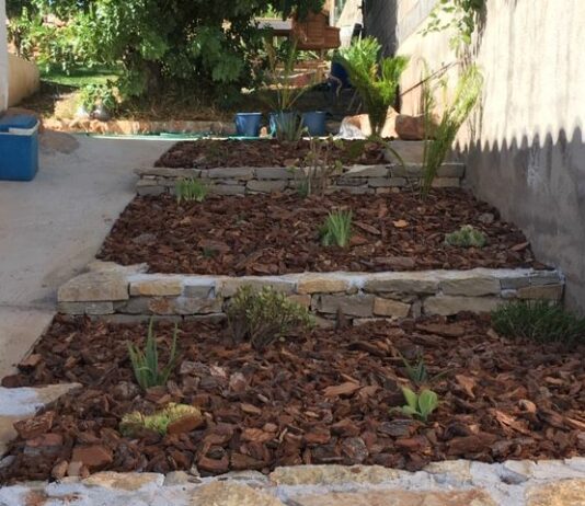y abonado Castellon jardiart plantacion