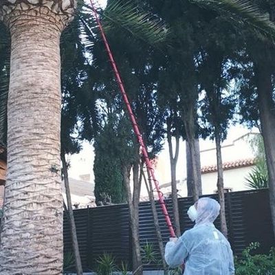 aplicación de tratamientos fitosanitarios en mantenimiento de jardin