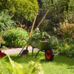Mantenimiento de jardin profesional con cuidado de césped y plantas
