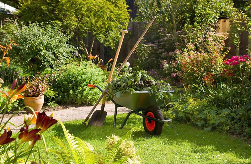 Mantenimiento de jardin profesional con cuidado de césped y plantas