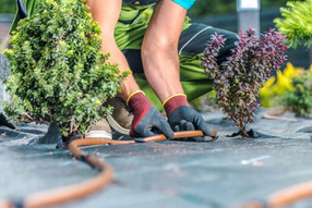 revisión periódica en mantenimiento de jardin para prevención de problemas